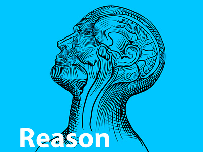 Reason & Sense