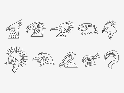 The Art of Flight animals beaks bird design graphic design illustration joseph shields kai logos puppies wildlife