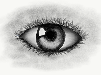 Clear Eye sketch adobe
