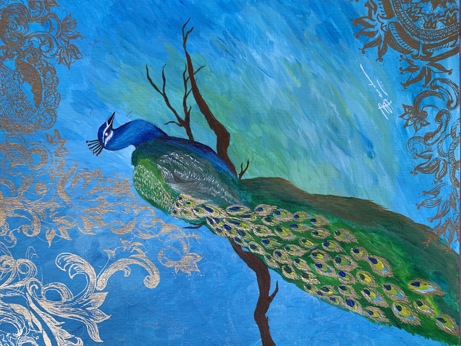 Indian Peacock By Rachita Bansal On Dribbble   Yiuvghkutpymoytrktxr4q 