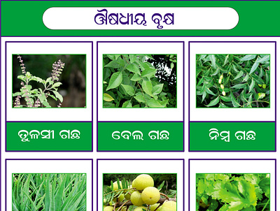 Medicine Plant Chart in Odia for School Children