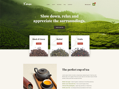 T.drop e commerce homepage landingpage