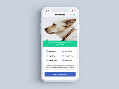 Dog Adoption App - Dog Info Screen dog adoption dog adoption app dog info screen dog shelter ios app