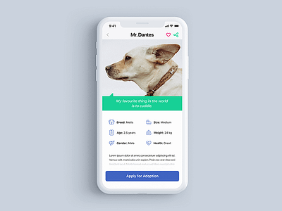 Dog Adoption App - Dog Info Screen