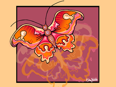 Atlas Moth animation design graphic design illustration