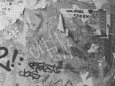 Nōshintō Berlin wall texture