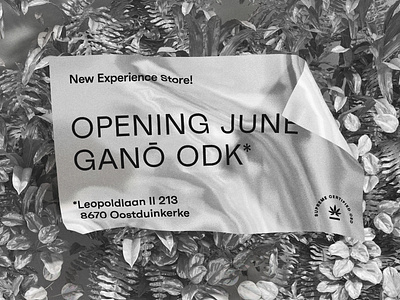 Ganō — ODK 3d art black white branding design font graphic graphic design illustration logo mock up poster typo typography vector