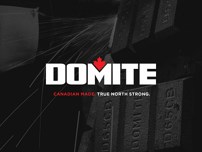 Domite Rebrand