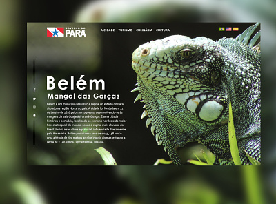 Mangal das Garças animal art brasil brazil cleison cleison carlos design design web front end front end design frontend layout norte pará webdesign
