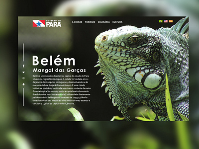 Mangal das Garças animal art brasil brazil cleison cleison carlos design design web front end front end design frontend layout norte pará webdesign