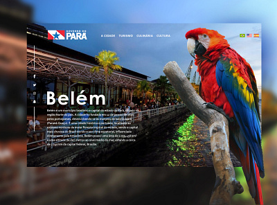 Belém - Pará | Brazil brazil design design web front end design illustration webdesign