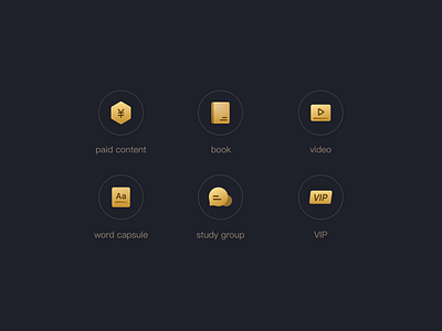 VIP feature icon design dark design educational gradient icon ios paid pay ui ux video vip