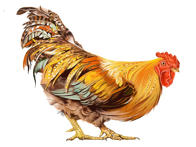 rooster design illustration