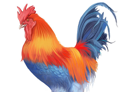 Rooster design illustration