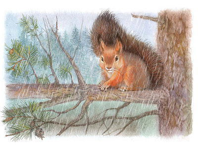 squirrel design illustration squirrel