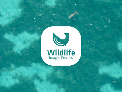 Wildlife Image Process drone process radar sea sky target wave whale wild