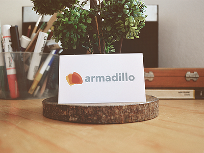 Armadillo logo concept