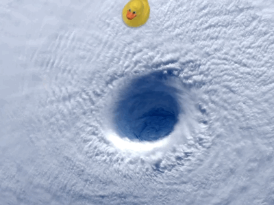 Duck and cyclone