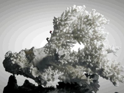 Coral and Climbing 2d after effect animation climb climbing clip compositing coral fantasy fun graphic design imagination miniature motion design motion graphic scale visual