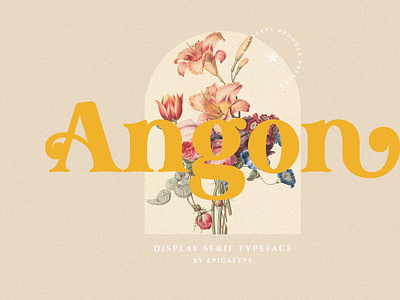 Angon - Retro Serif Font