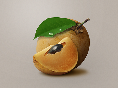 Sapodilla Icon app chikoo drop fruit icon illustration leaf mac sapodilla
