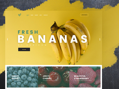 UI for Agriculture company agriculture creative food ui ux
