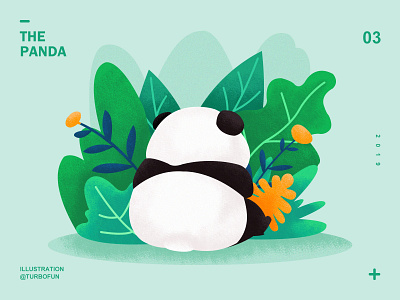 panda animal illustration