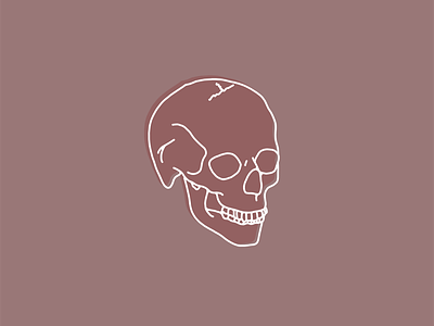 Skull illustration skull