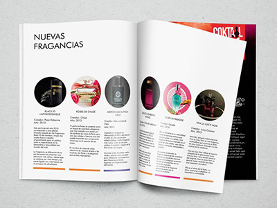 Le Journal design graphic magazine photographic