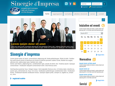 Sinergie d'Impresa clean design enterprise flat ui web website