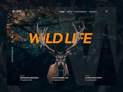 Wild Life design ui