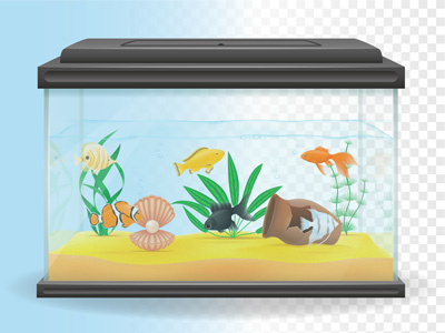 transparent aquarium