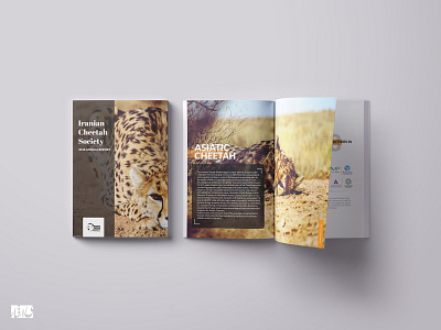 Annual report branding catalog illustrator indesign vector