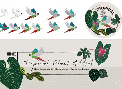 Tropical plant addict branding design flat graphic design illustration illustrator logo minimal typography vector