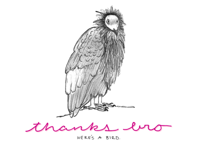 Condor
