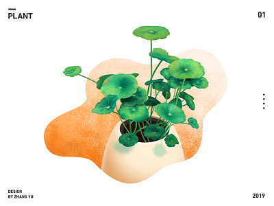 Plant illustration illustraion plant potted plant texture
