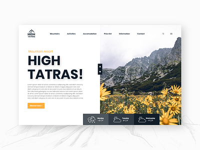 HIGH TATRAS! - Concept website color concept design flat high tatras landscape layout mountain simple design ui ux web website