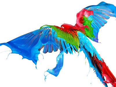 Parrot - illustration for the calendar animal calendar color paint parrot tropical