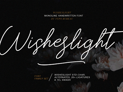 Wisheslight - Handwritten Font branding design logo type typography