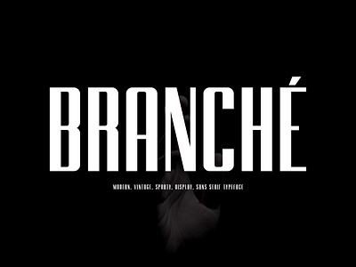 Branche - Sans Display Font branché branding design display fonts foreign language support header industrial logo fonts logo type minimal multilingual sans serif sporty sturdy font typography ui ui fonts ux vector