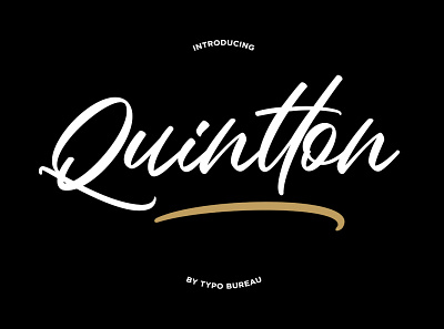 Quintton - script font branding brush lettering clean style design fonts logo type design typeface typography