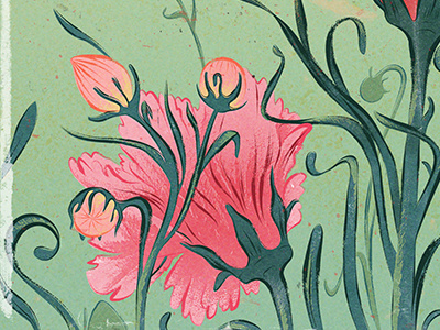 poppies buds dry brush flowers illustration illustrator poppies vector