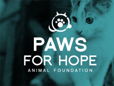 Animal Foundation Logo Concept