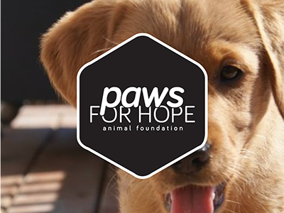 Paws for Hope Logo Concept
