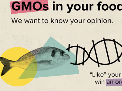 GMO Fish DNA collage illustration marketing photography promotional social media