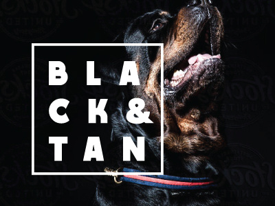 Black & Tan black bold charity dog logo rescue rottweiler sans serif tan type