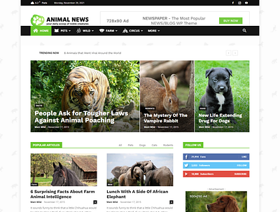Animal News Blog Website branding design seo seoexpert typography ui ux webdesign