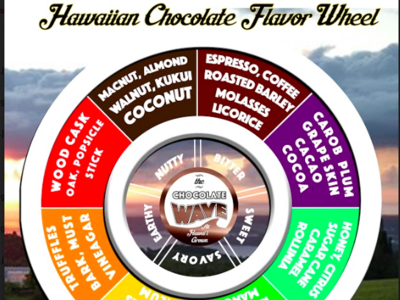 Hawaiian Chocolate Flavor Map adobe cs brand and identity branding content creation creative design design digital marketing identity design illustrator logo photoshop product development seo smm