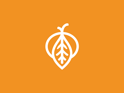 Mandarina Logo clothes design fruit logo orange tangerine