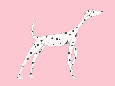 Tobi brush dalmatian dog friend illustration photoshop